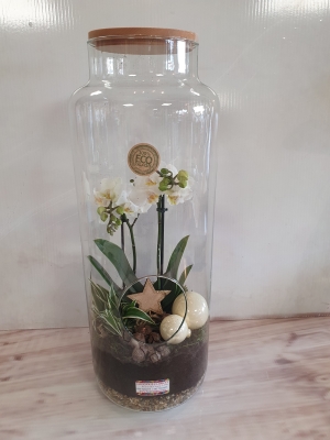 amazing white orchid in glass jar
