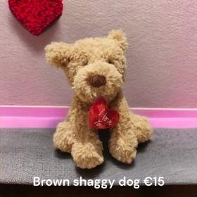 Brown shaggy dog