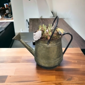 Large watering can spring bulb planter
