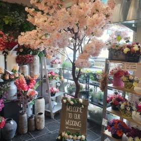 Cherry blossom