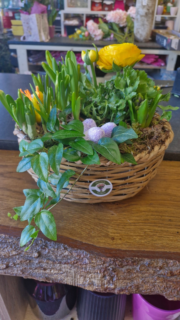 Planted Easter Basket