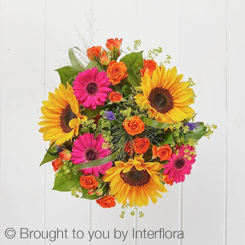 Bold Brights Perfect Gift