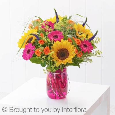 Bold Brights Perfect Gift