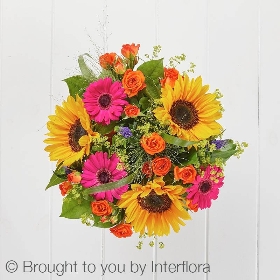 Bold Brights Perfect Gift