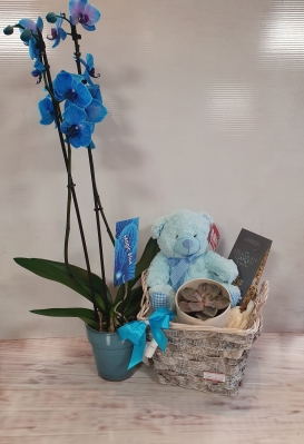 Blue Orchid Gift Set