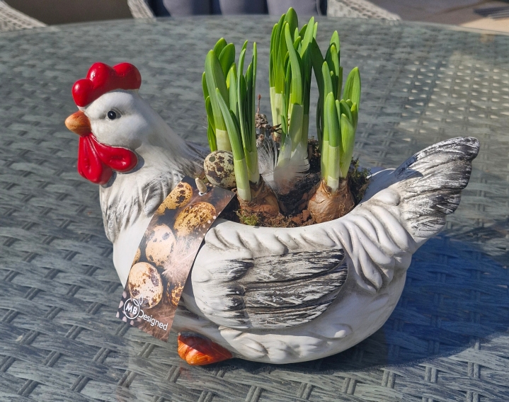 Deluxe Mrs Hen planter