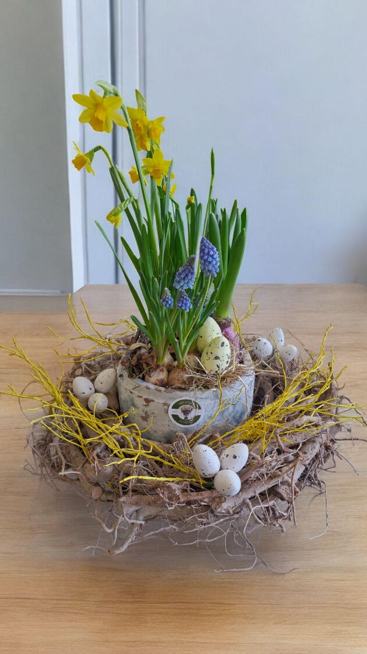 Easter planted arrangement in ceramic pot and natural willow ring