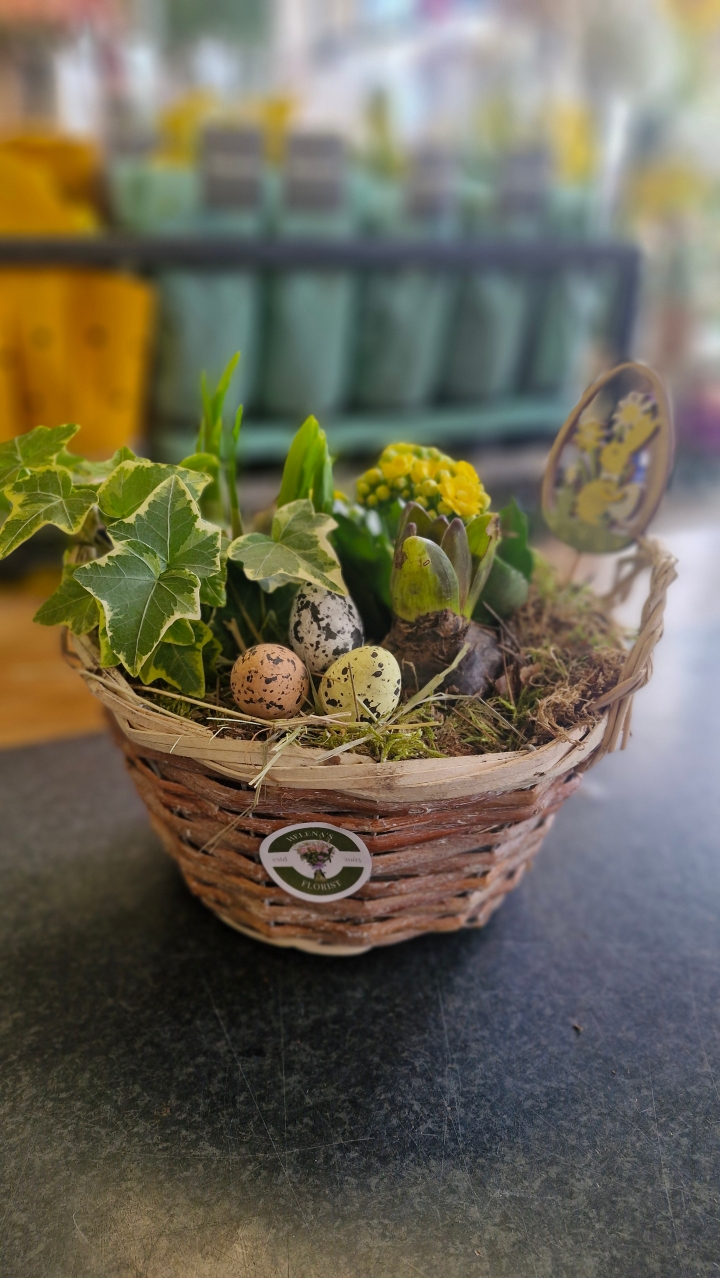 Easter planted basket