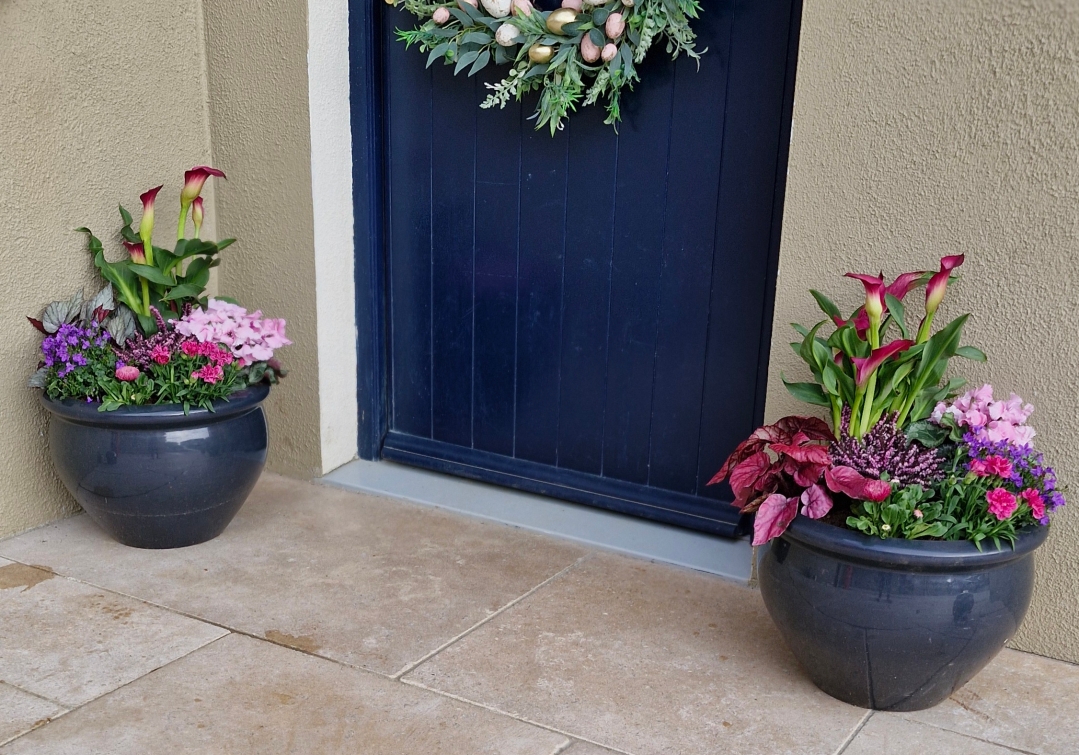 Extra large outdoor planter in grey pots