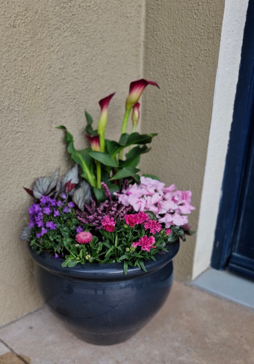 Extra large outdoor planter in grey pots