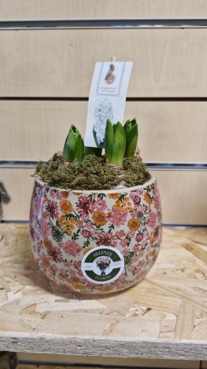 Floral ceramic hyacinth planter