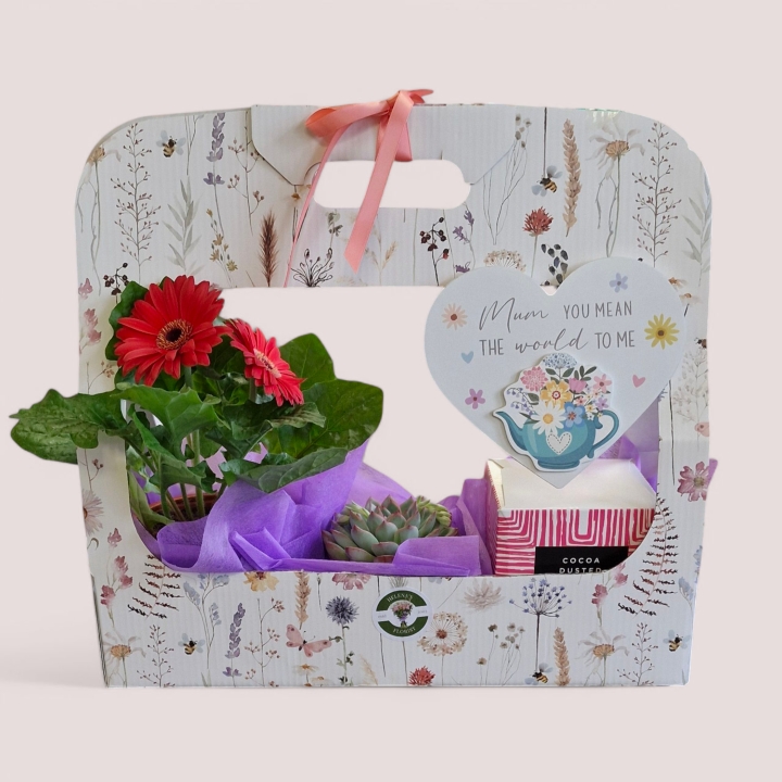 Gerbera delight gift box