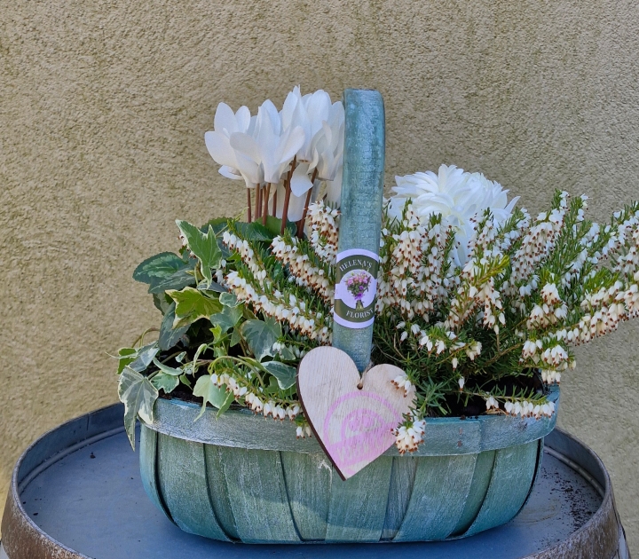 Green and white trug planter