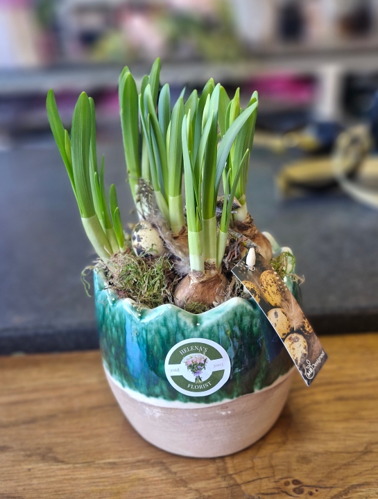 Green Ceramic Planter