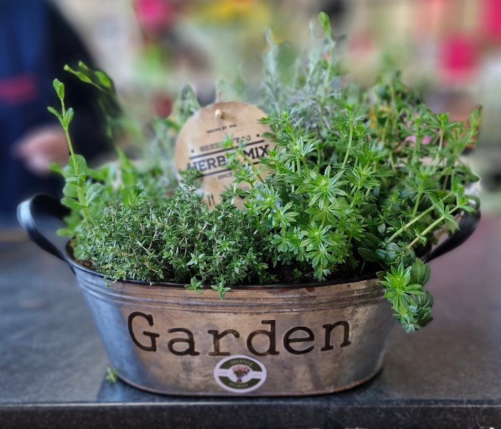 Herb garden tin planter