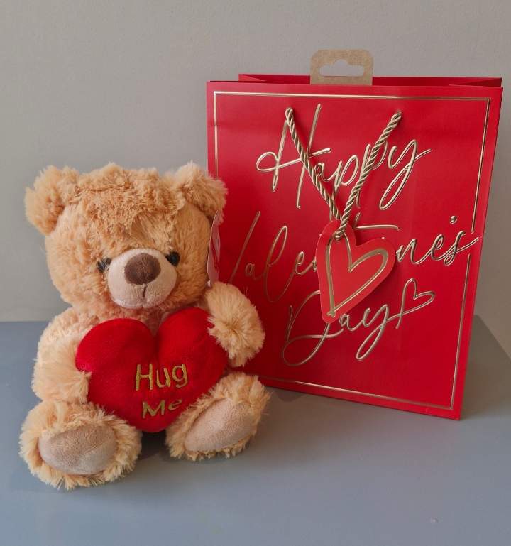 hug Me Brown Bear in a Gift Bag