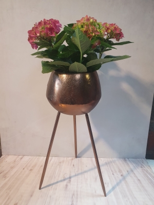 Hydrangea Plant with tripod metal stand