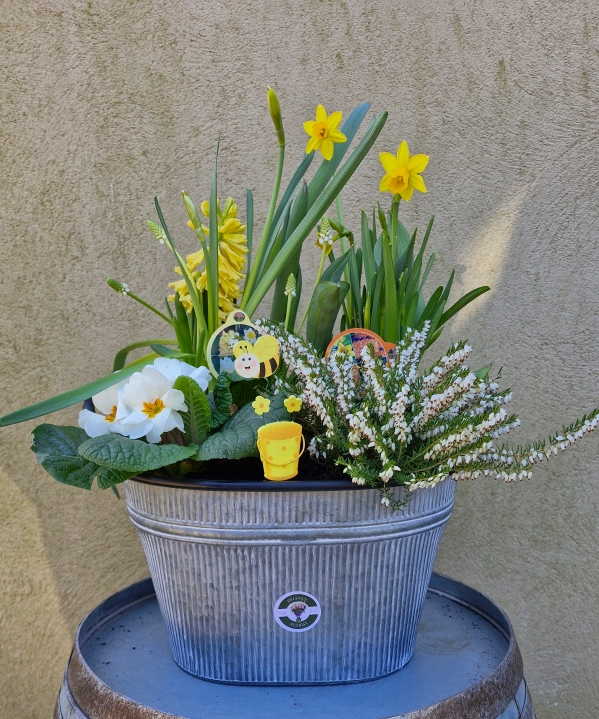 Large tin planter
