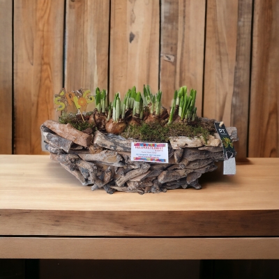 large wooden oval spring planter