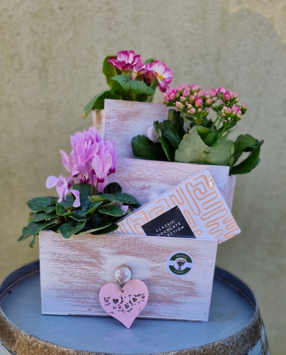 Set of 3 pink drawer gift set planter with chocolates