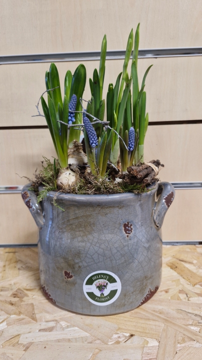 Spring ceramic planter