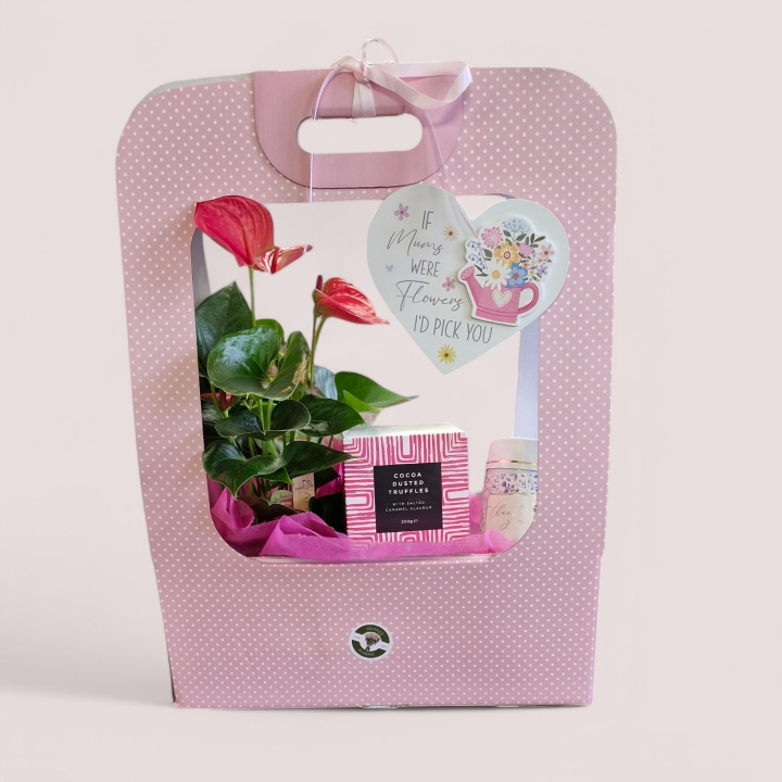 The pamper hamper