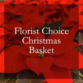 Florist choice Christmas fresh flower basket
