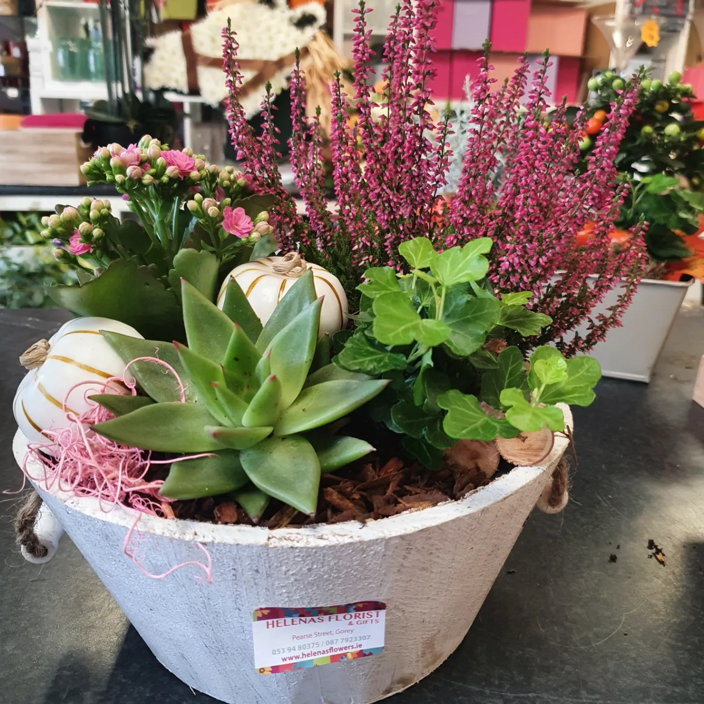 Autumn   Planter