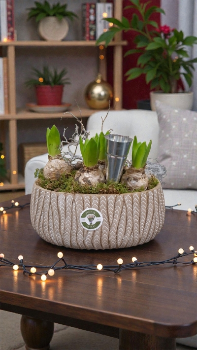 Beautiful Bowl of Hyacinth