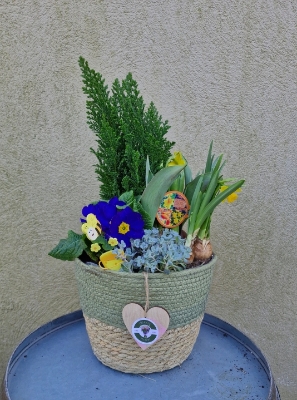 Blue green and yellow planter