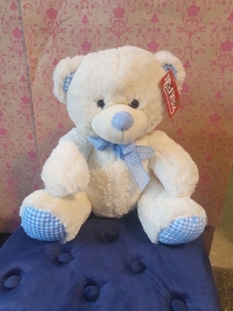 Blue Teddy