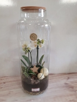 amazing white orchid in glass jar
