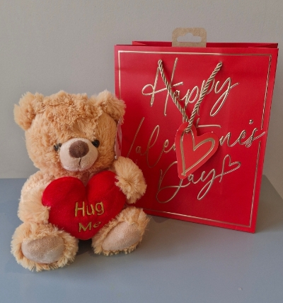 hug Me Brown Bear in a Gift Bag