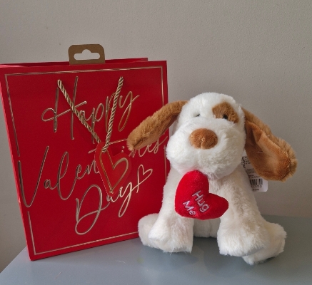 Hug Me Floppy Dog in a Gift Bag