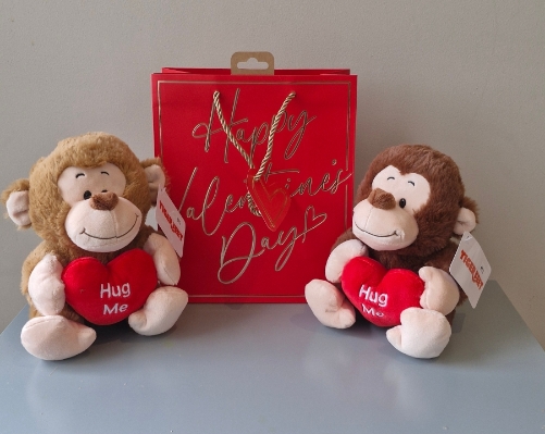 Hug Me Monkey in a Gift Bag