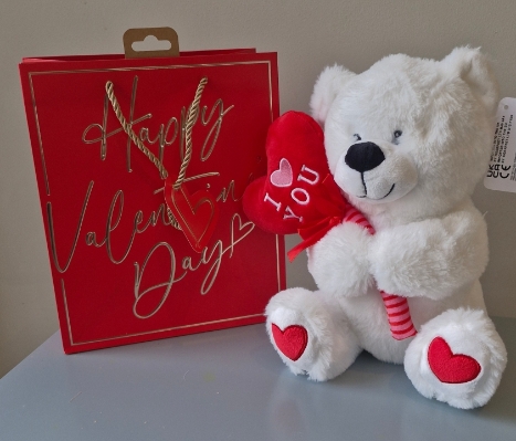 I Love you Bear in Gift Bag