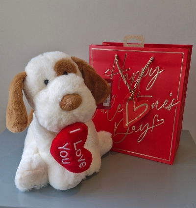 I Love You Dog in a Gift Bag