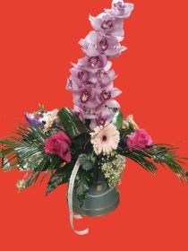 Luxury orchid hatbox arrangement