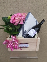Luxury prosecco , plant and Irish handmade chocolates hamper