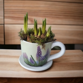 muscari cup and saucer planter