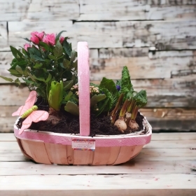 Mothers Day planted basket