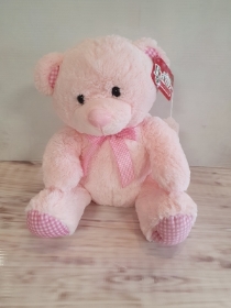 Pink Teddy.