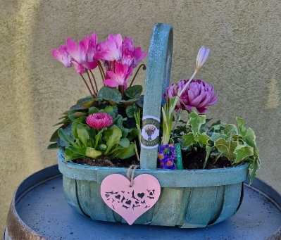 Pink trug planter