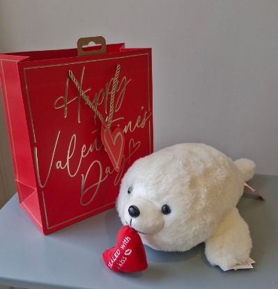 Sammy Seal in a Gift Bag