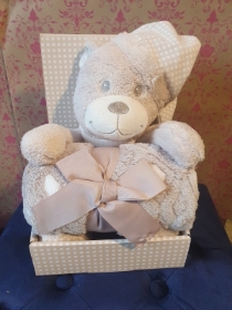 Snuggly Teddy