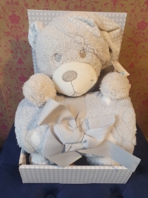 Soft Teddy