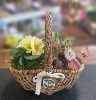 Spring planted basket