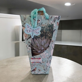 Succulent Gift Bag and Ceramic Pot