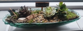 glass succulent bowl