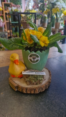 Yellow duck planter